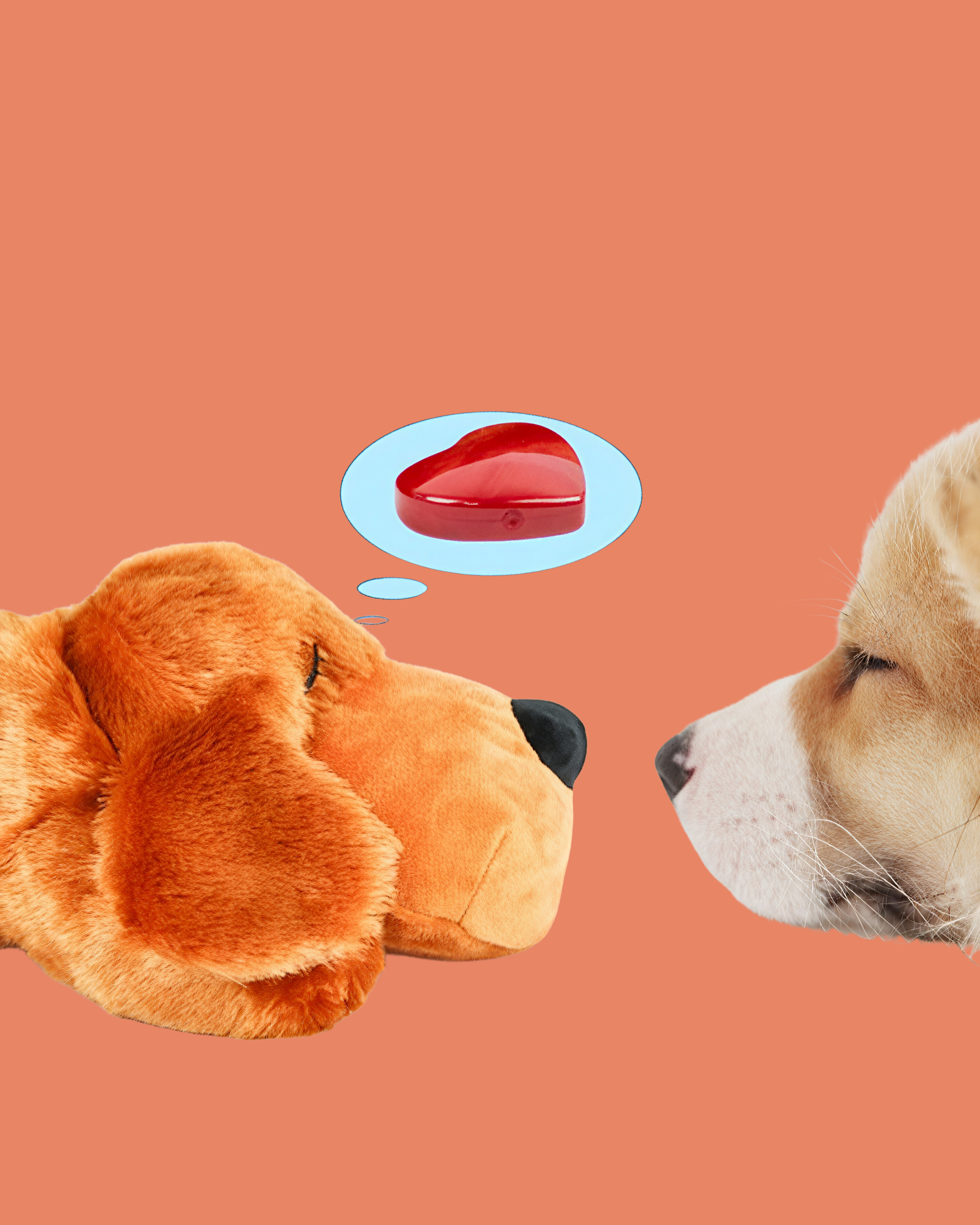 Dog Heartbeat Plush Toy