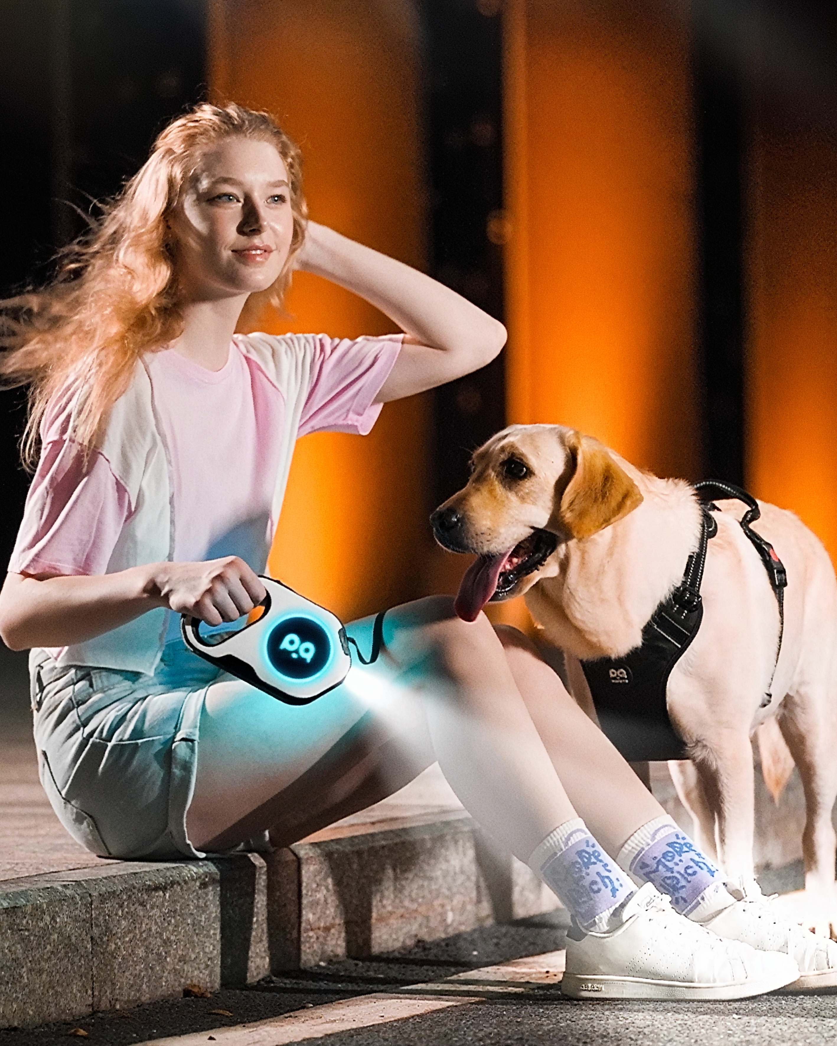 LED No-Pull Dog Harness Walk Set