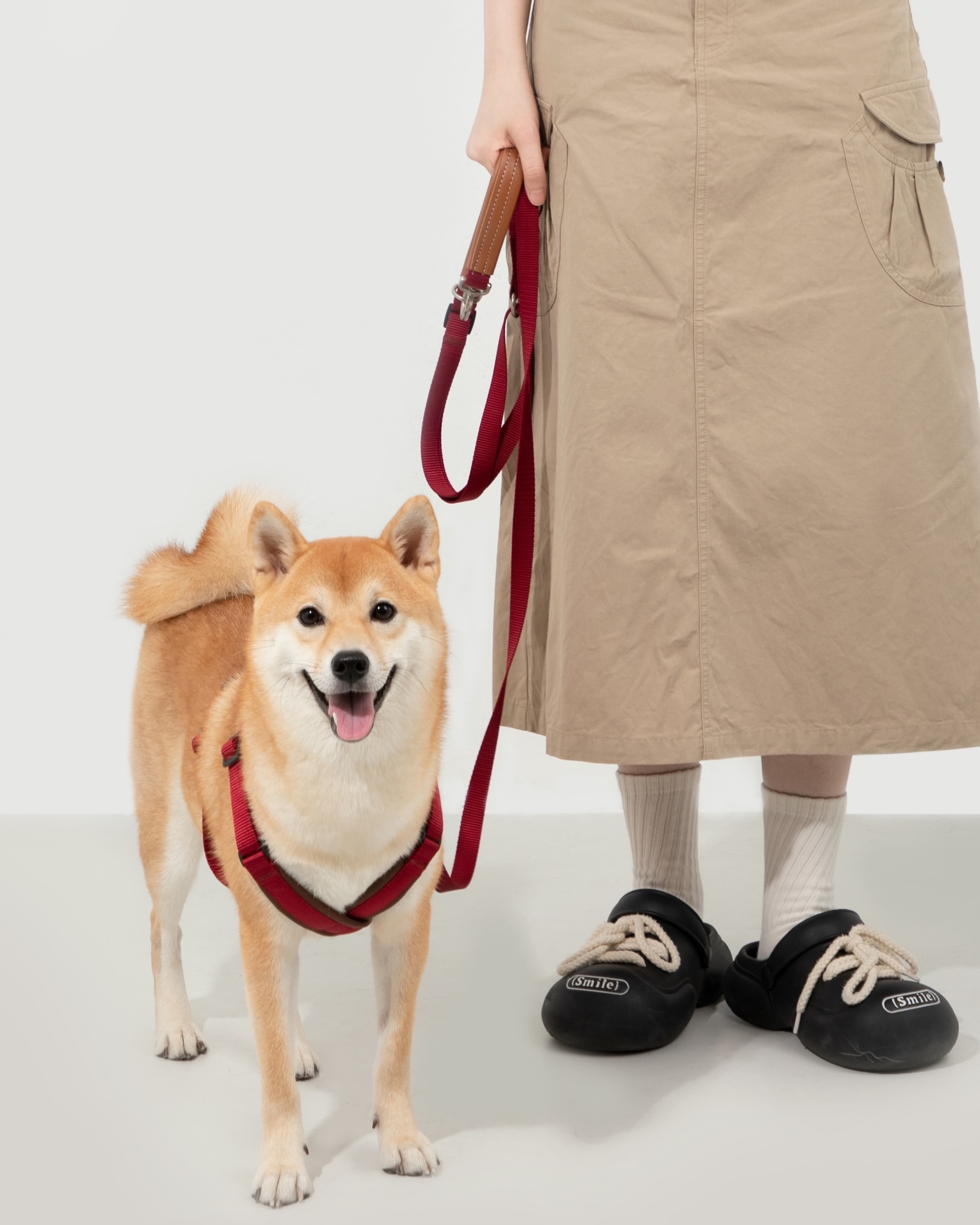 Bobo Leather X-Shaped Dog Harness Walk Set