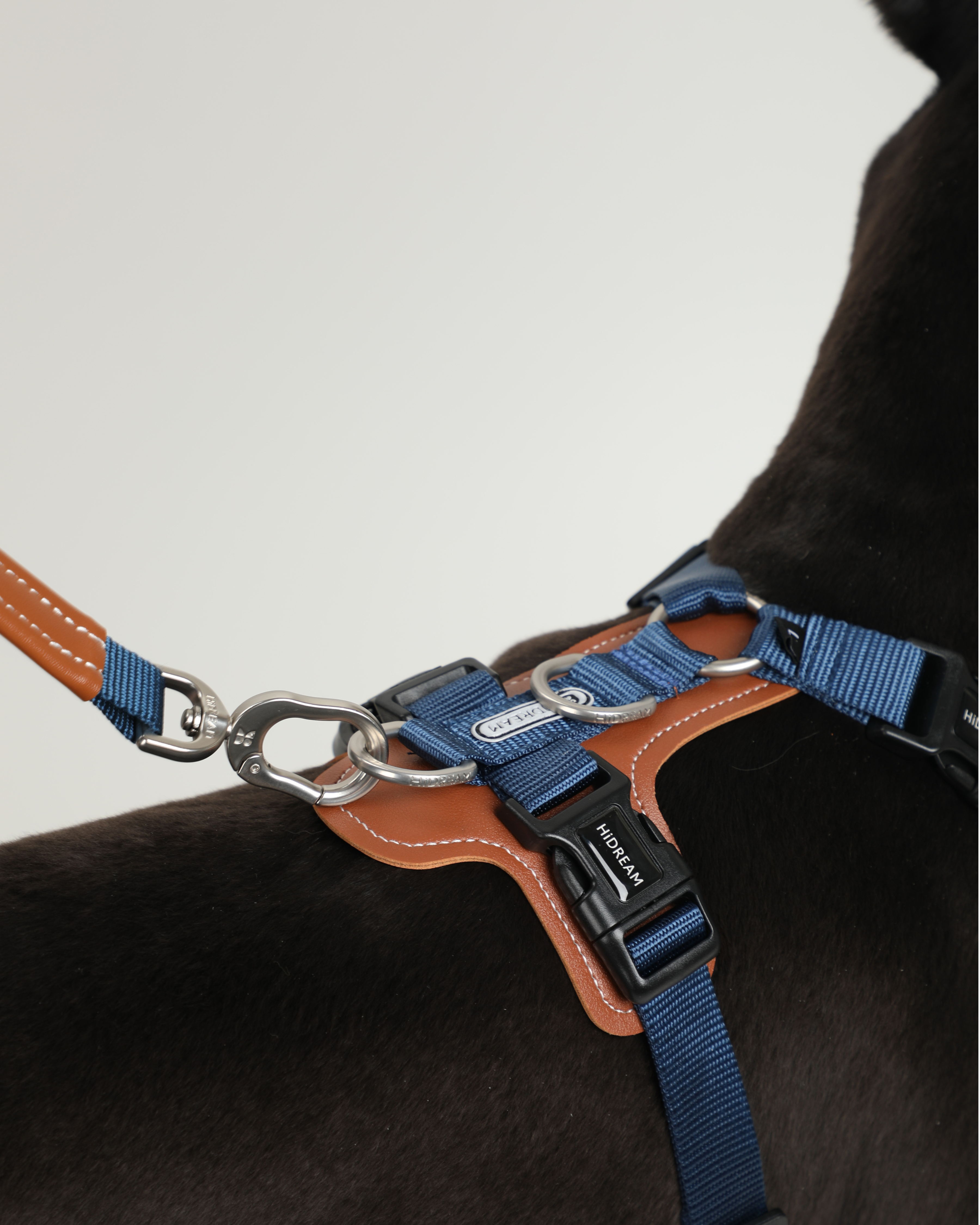 Bobo Series-H Shaped Harness Set