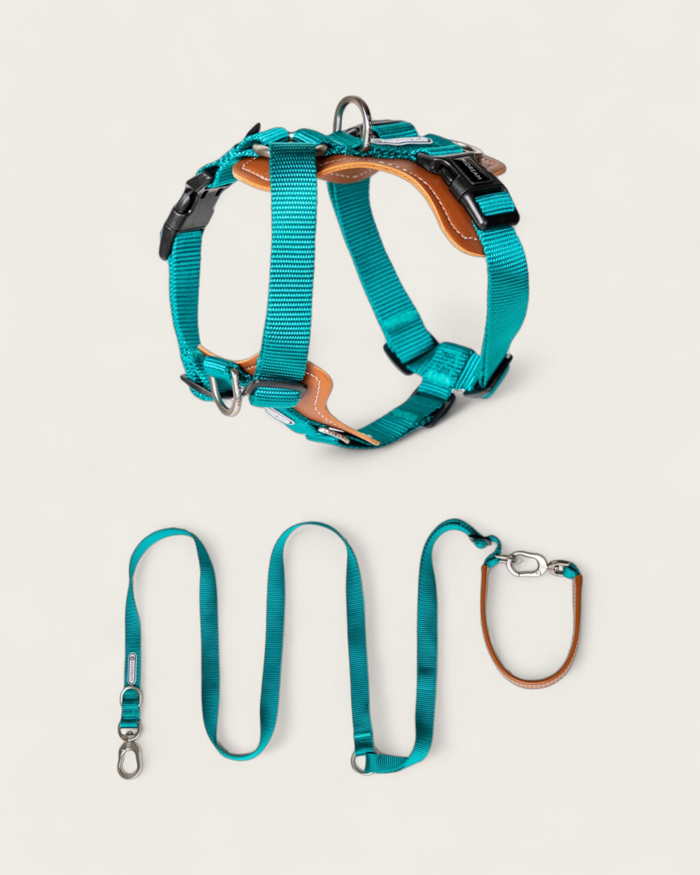Bobo Leather h-Shaped Dog Harness Walk Set green 2