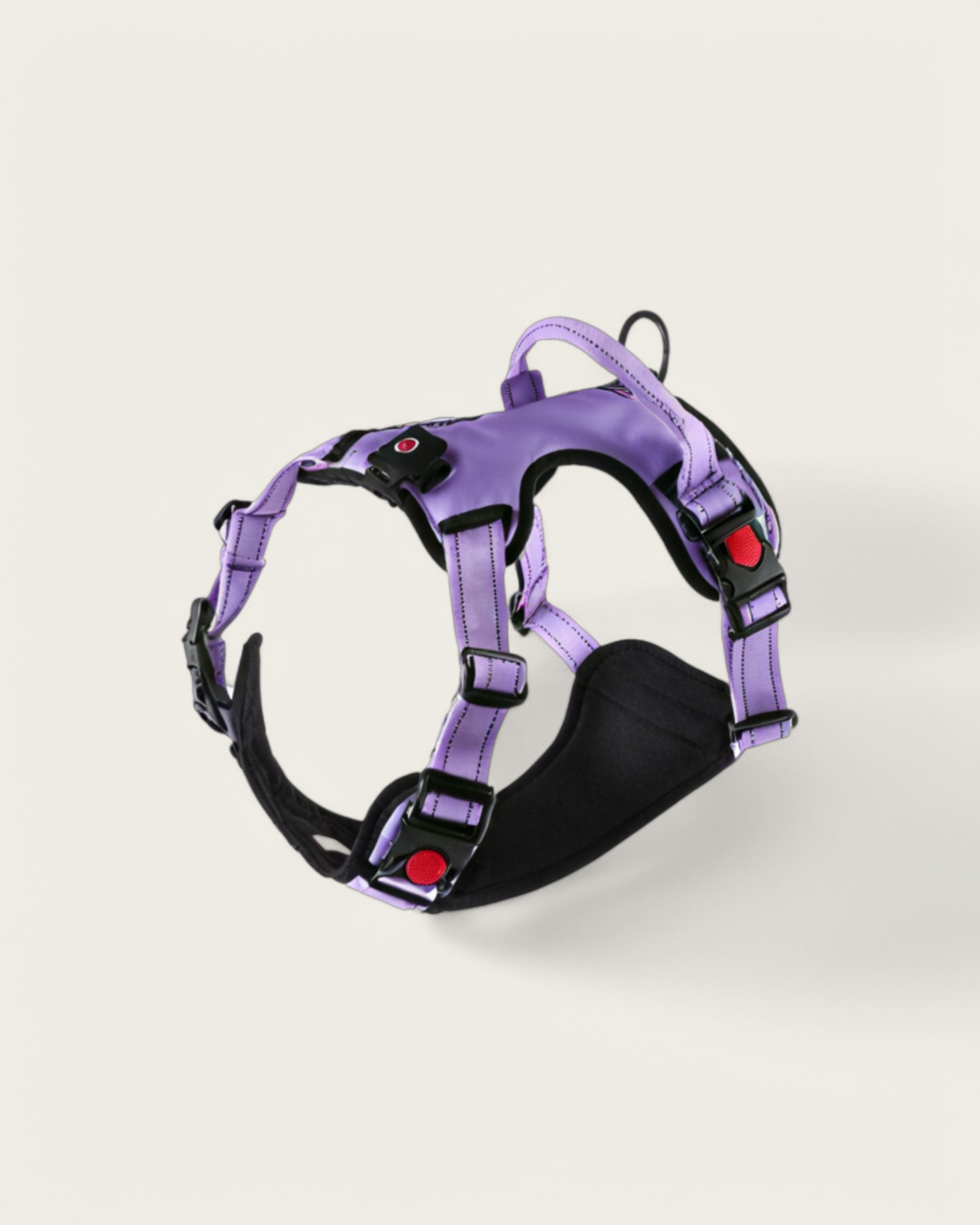 LED No-Pull Dog Harness Rainbow purple