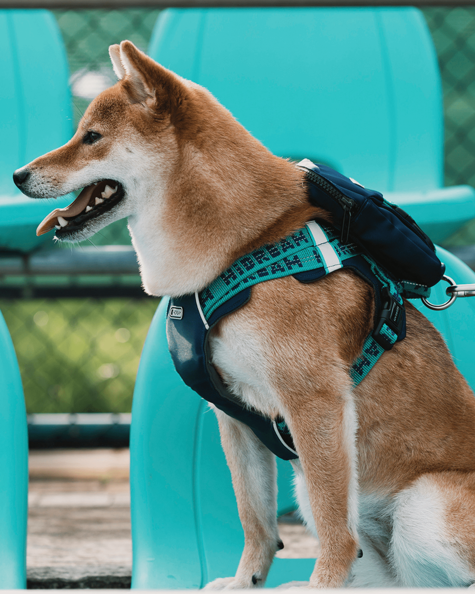 Bobo Reflective Vest Dog Harness - Bo&Hew