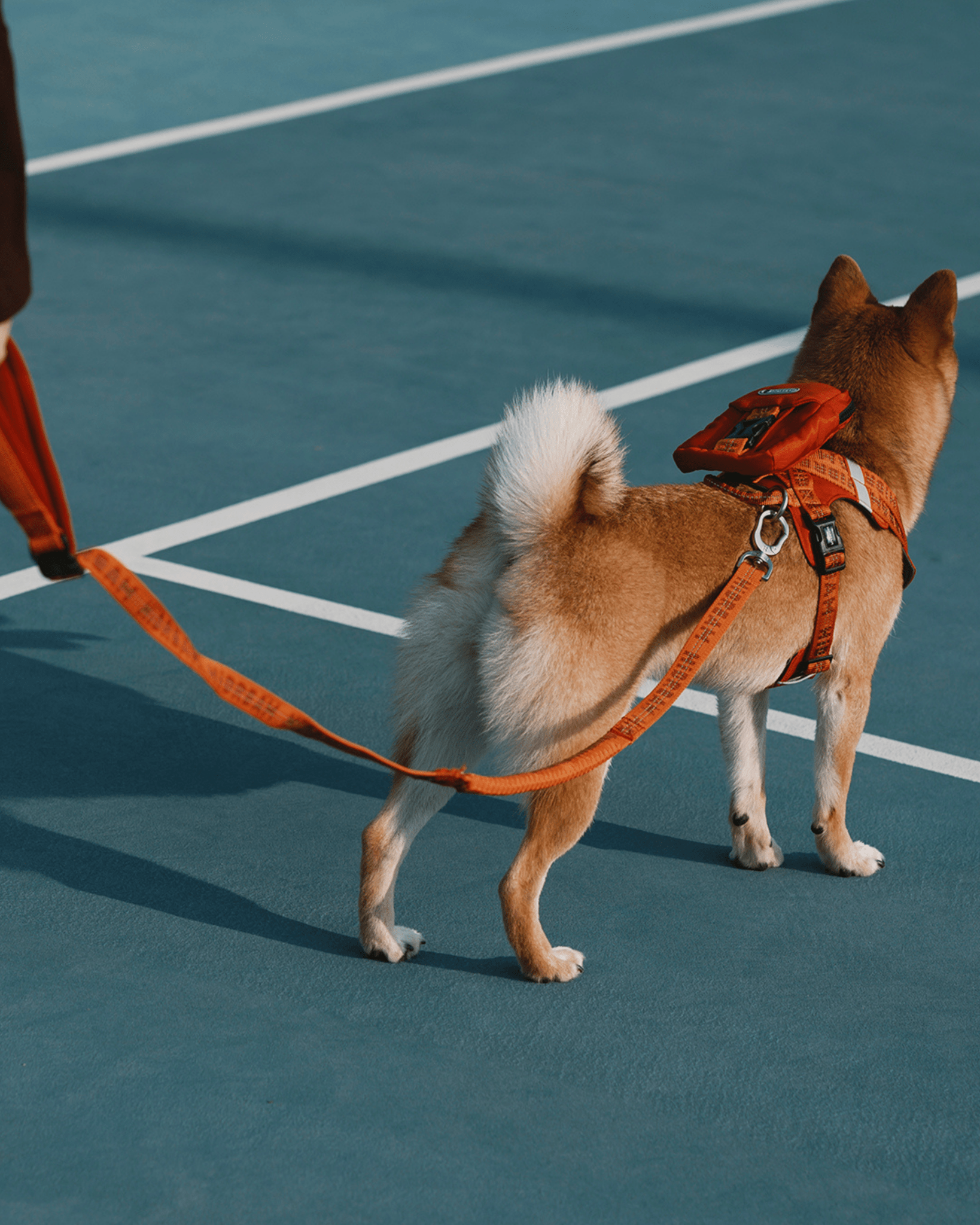 Bobo Reflective Vest Dog Harness - Bo&Hew