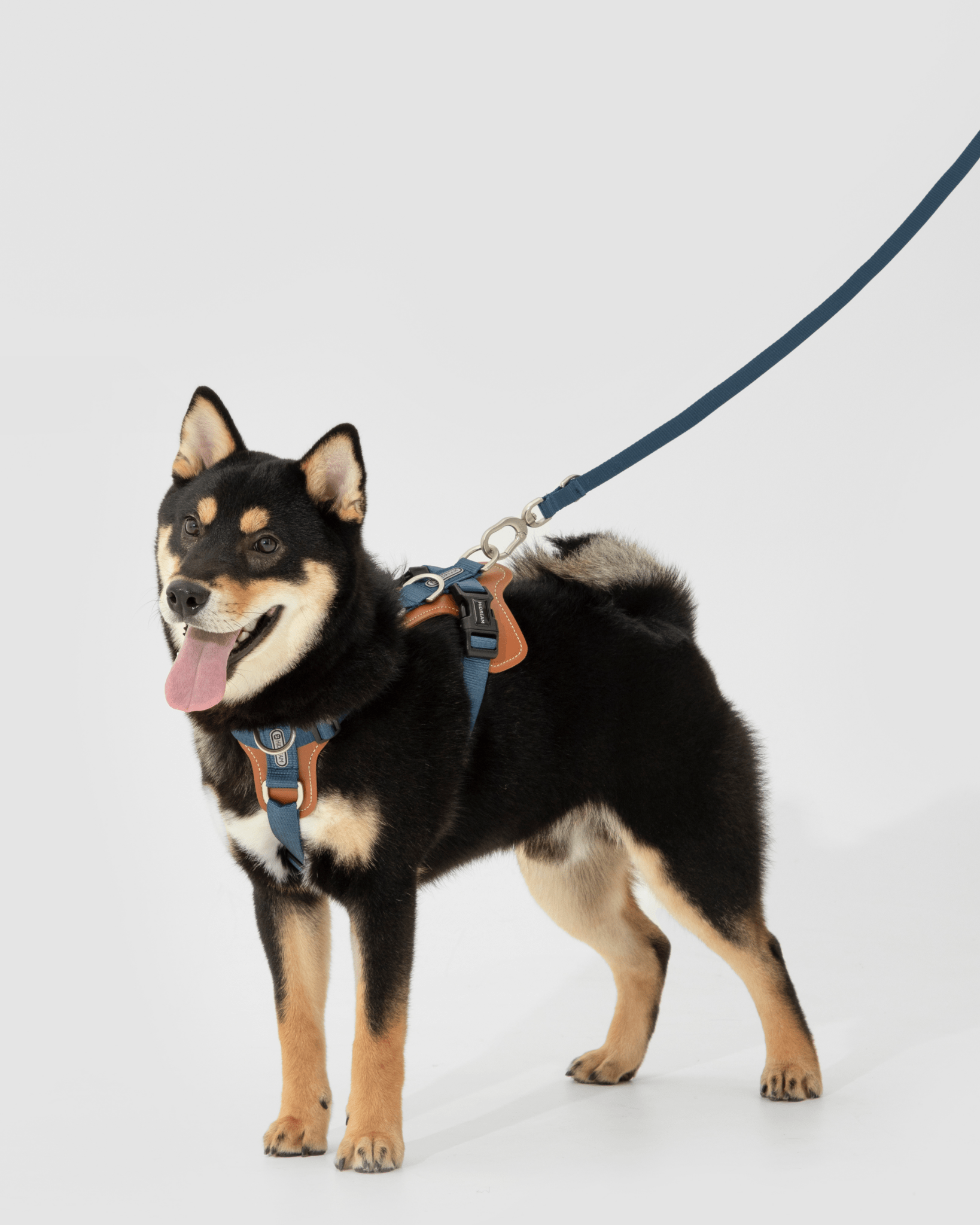 Bobo Series - H Shaped Harness - Bo&Hew