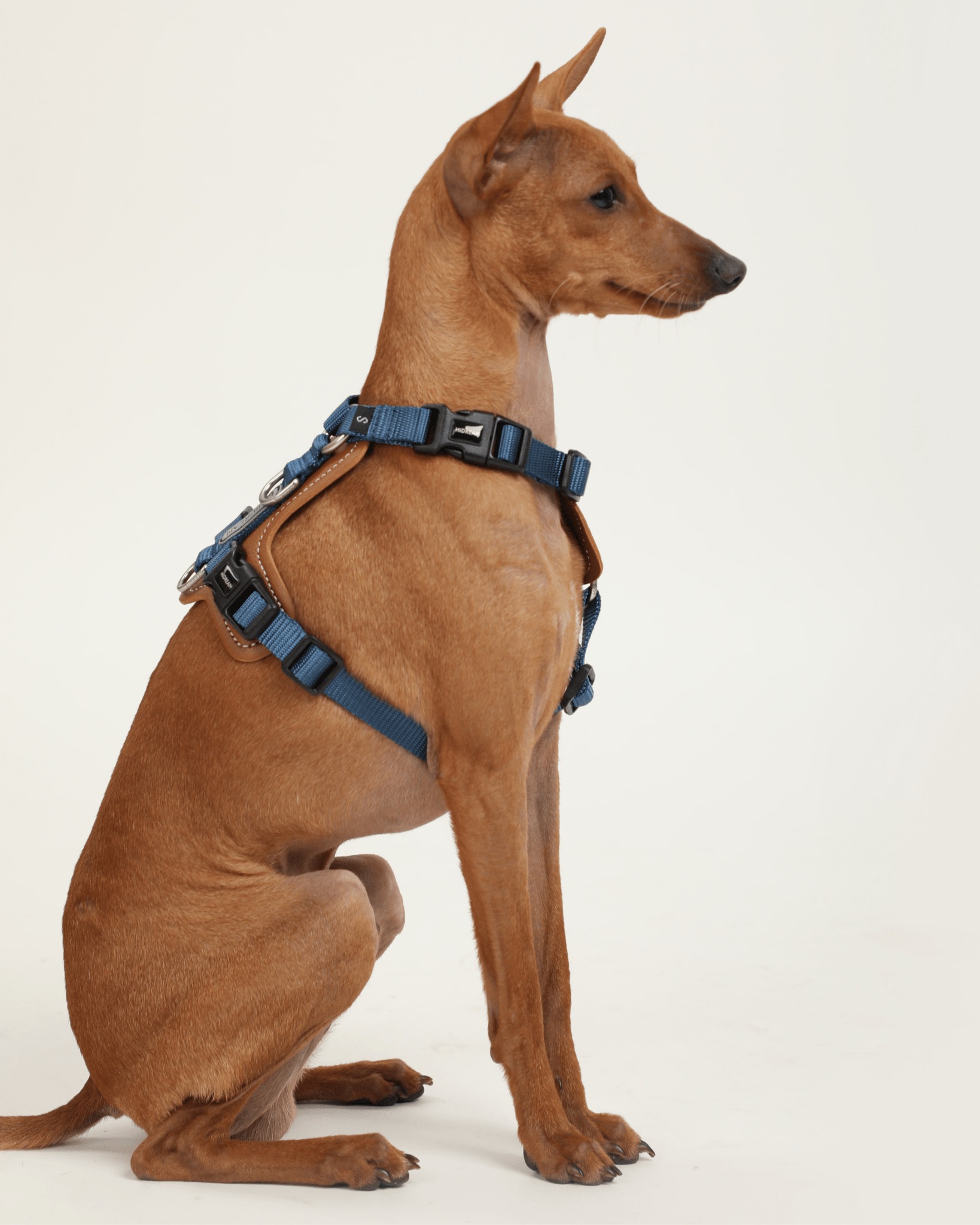 Bobo Series - H Shaped Harness - Bo&Hew