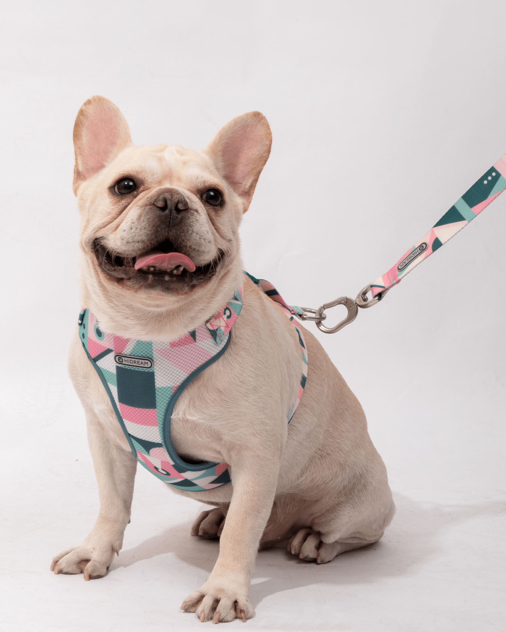 Castle Soft Handle Leash - Bo&Hew