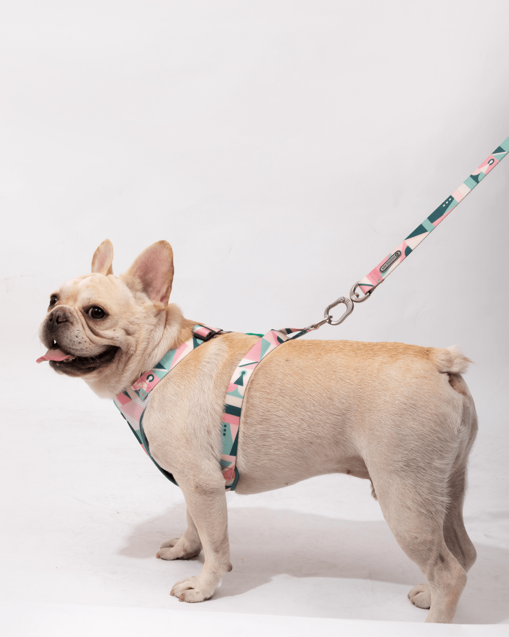 Castle Soft Handle Leash - Bo&Hew