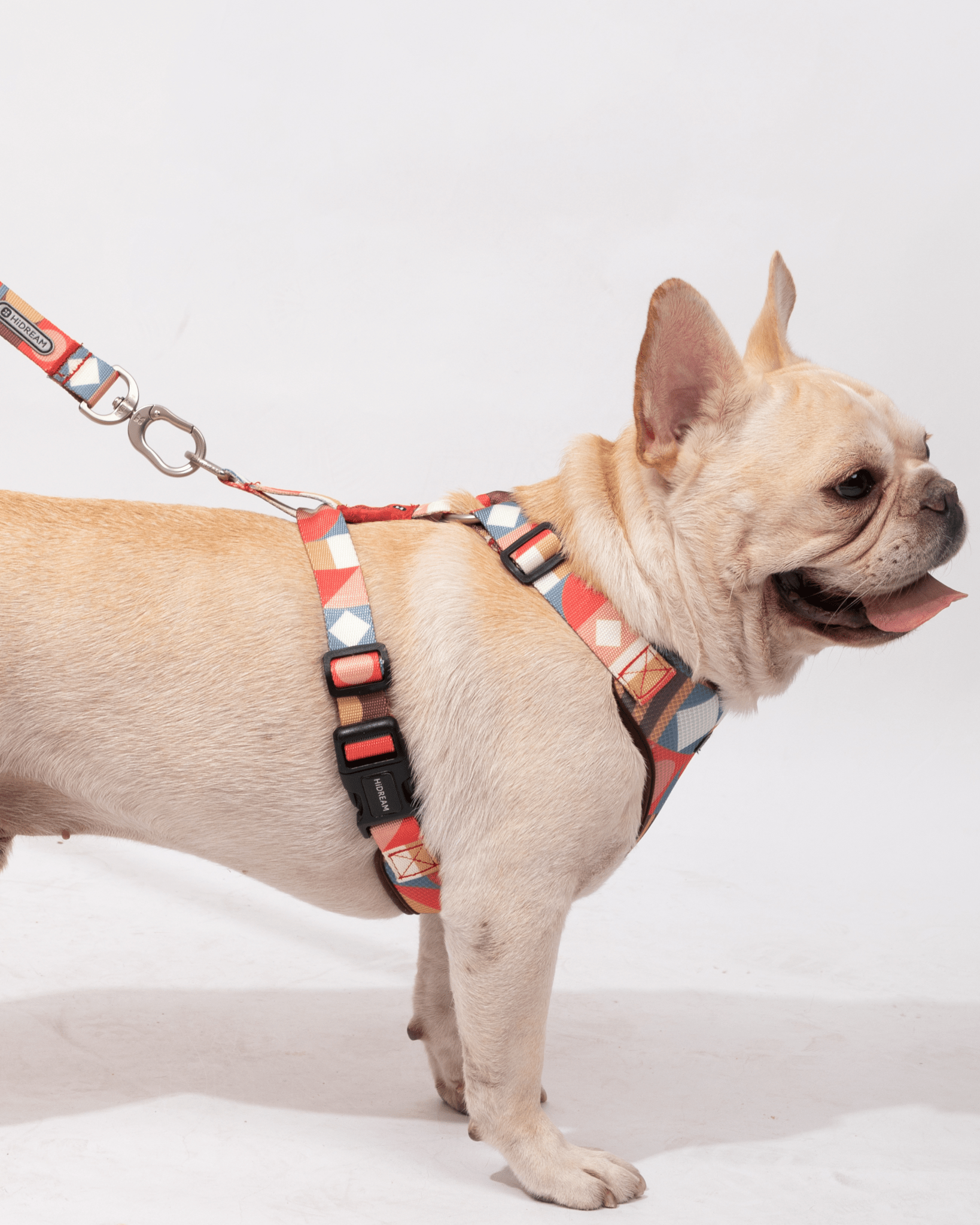 Castle Soft Handle Leash - Bo&Hew