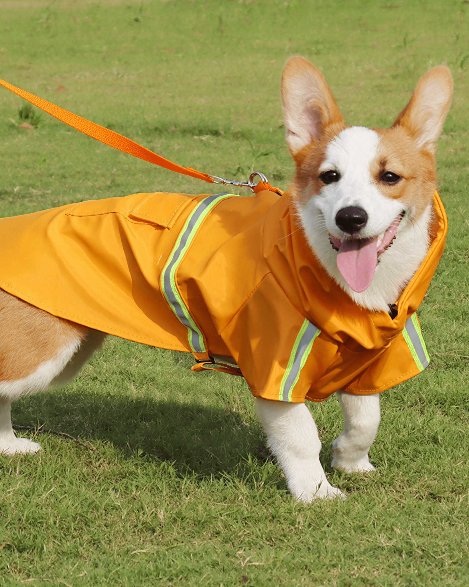 Dog Waterproof Hooded Raincoat - Bo&Hew