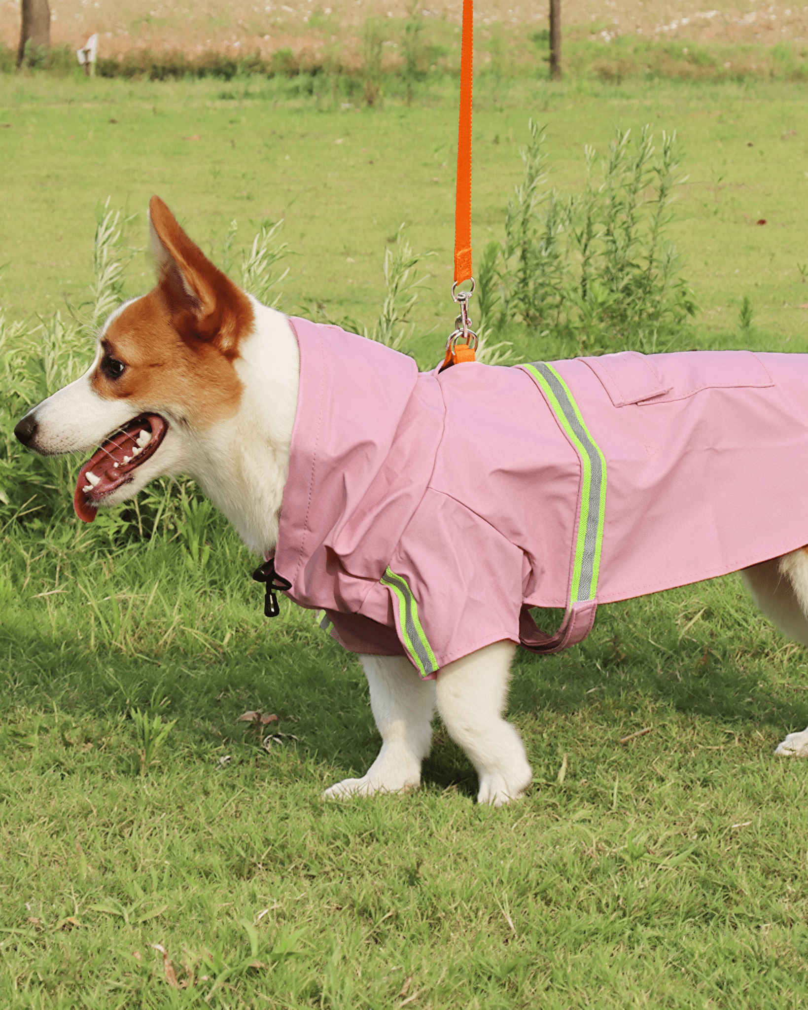 Dog Waterproof Hooded Raincoat - Bo&Hew