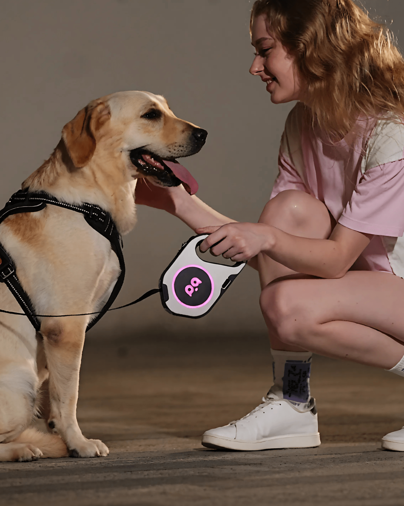 LED Retractable Dog Leash with Rechargeable Light - Bo&Hew