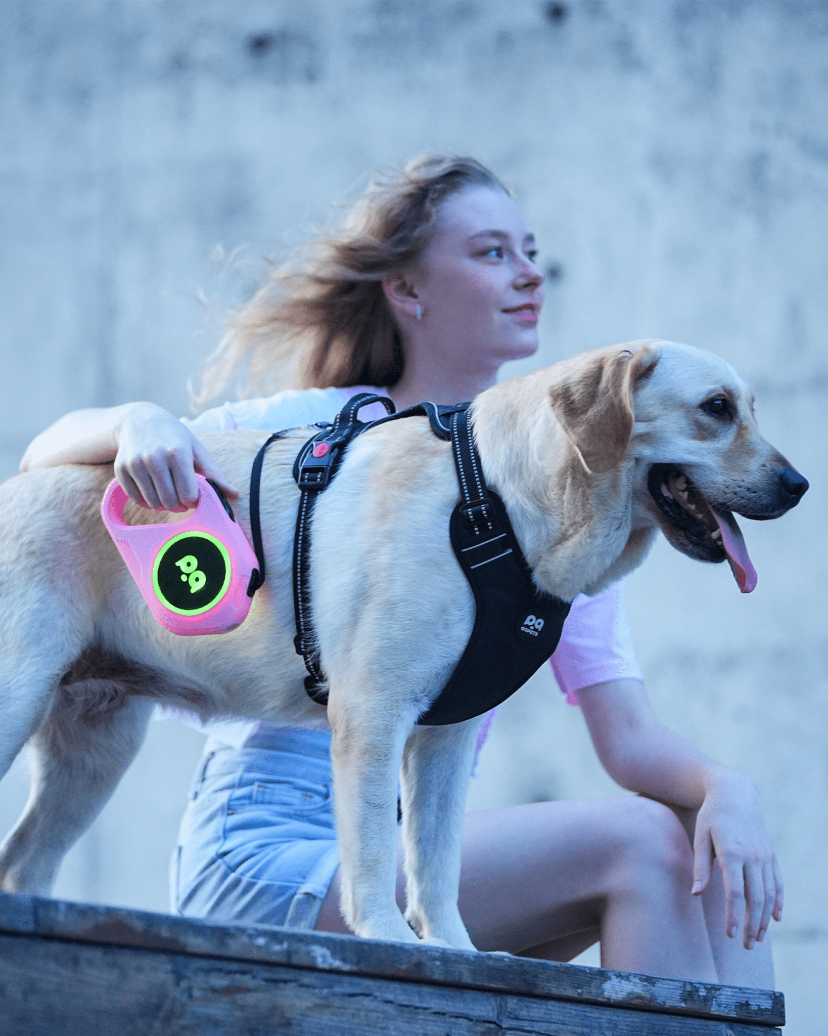 LED Retractable Dog Leash with Rechargeable Light - Bo&Hew