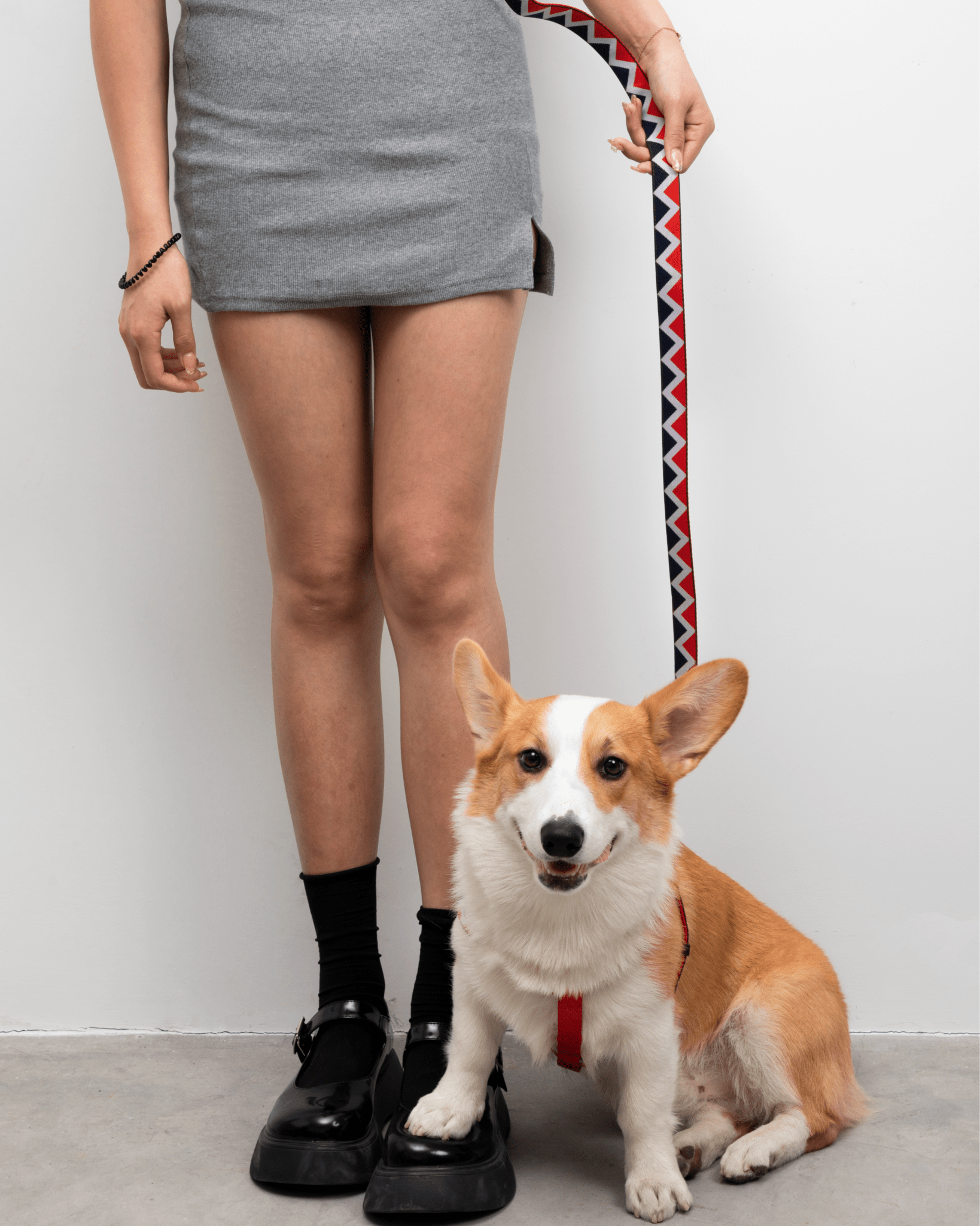 Rainbow Multifunctional Leash - Bo&Hew