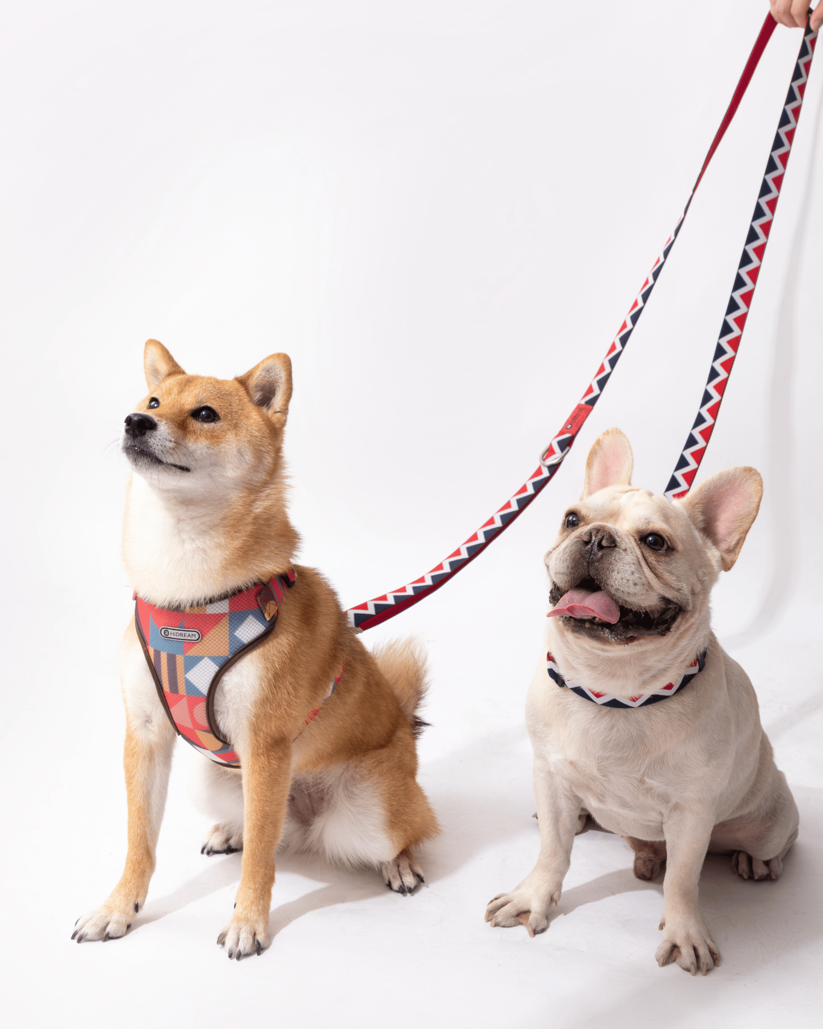 Rainbow Multifunctional Leash - Bo&Hew