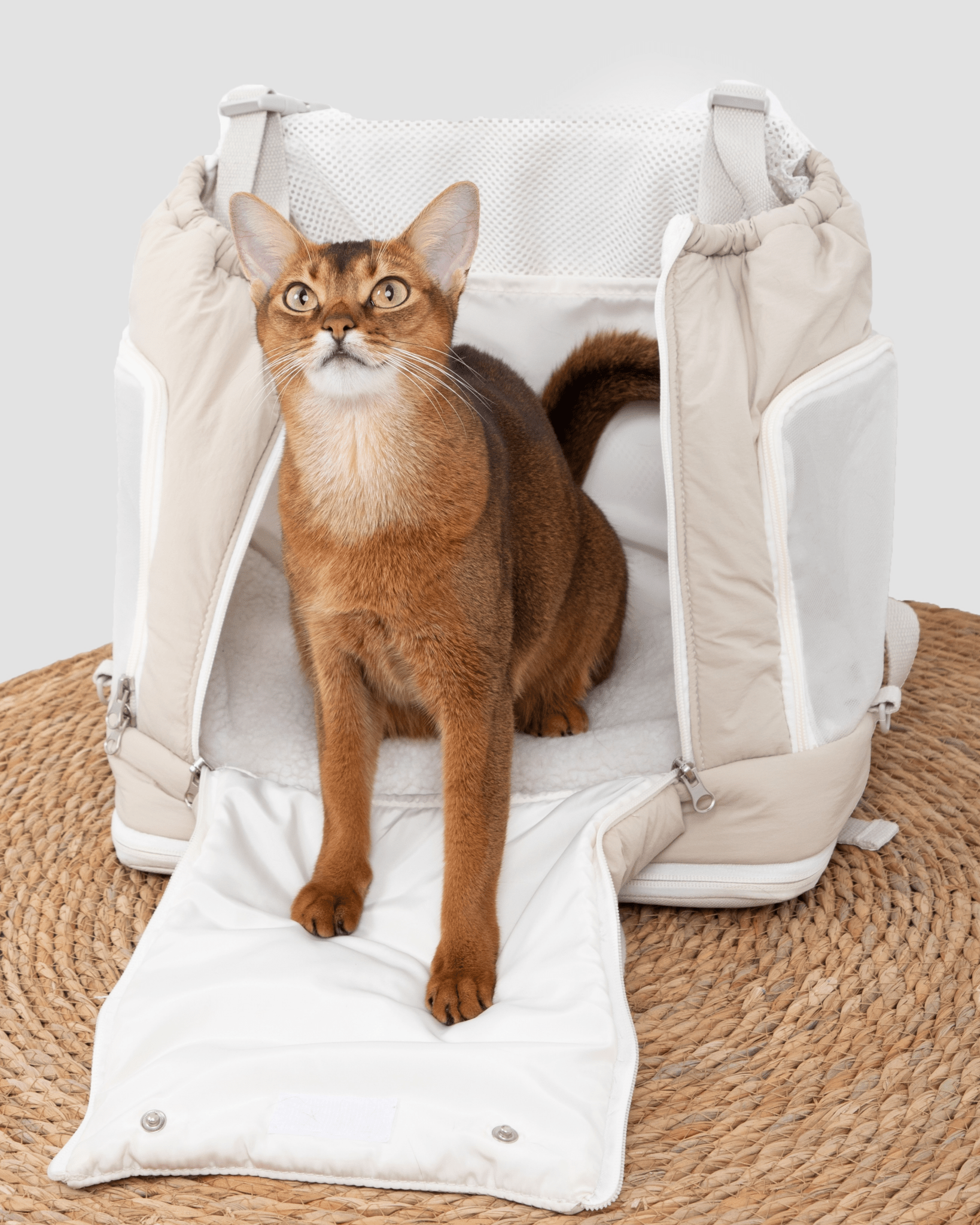 Soft FuFu Pet Front Carrier Bag - Bo&Hew