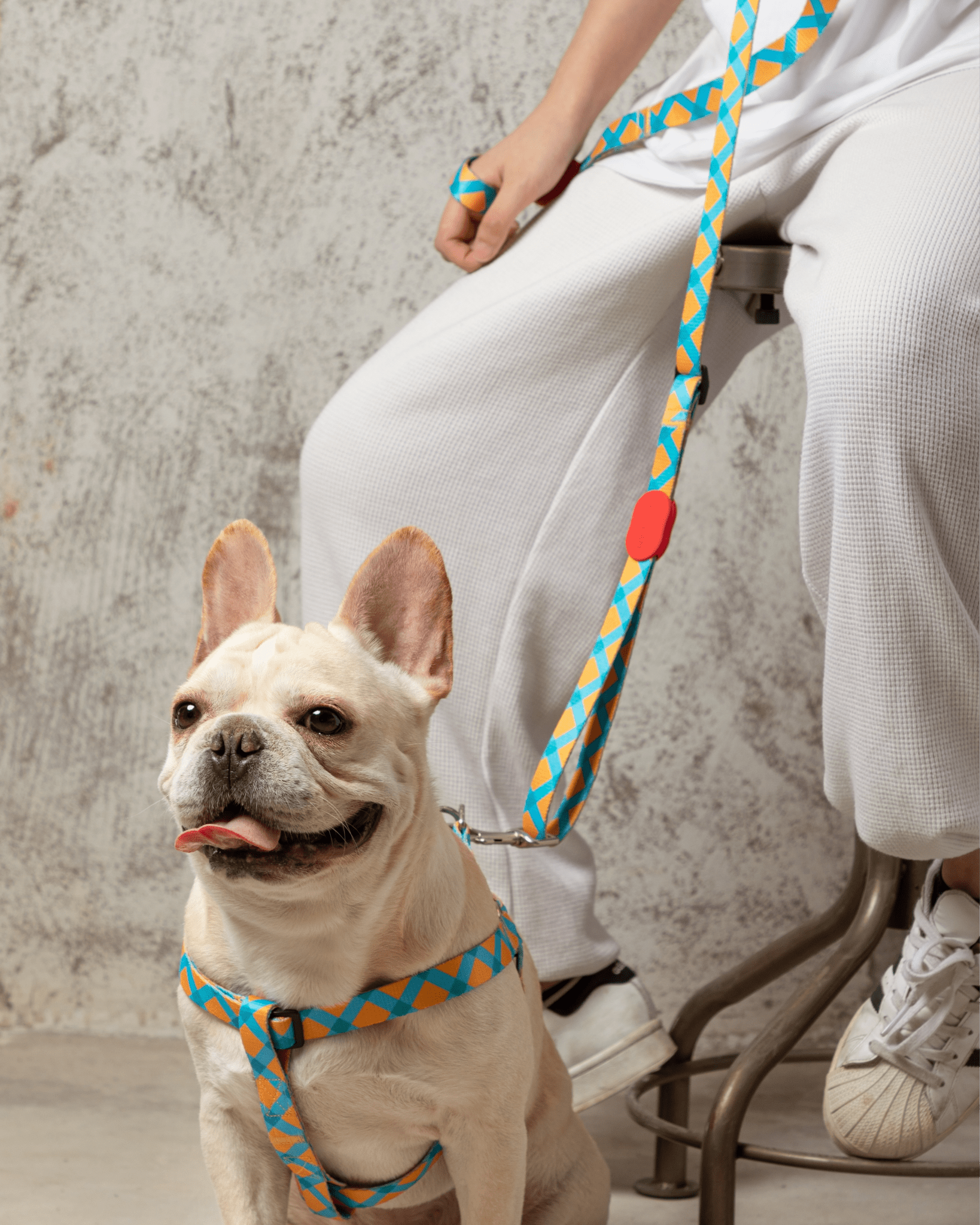 Vibrant Adjustable Leash - Bo&Hew