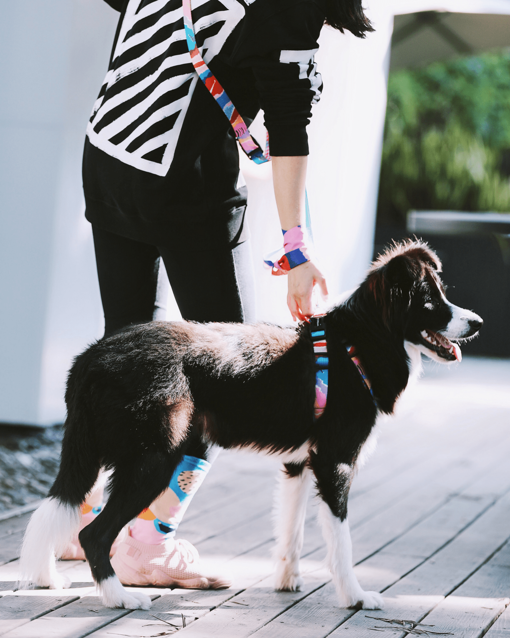 Vibrant PRO Multifunctional Shockproof Leash - Bo&Hew